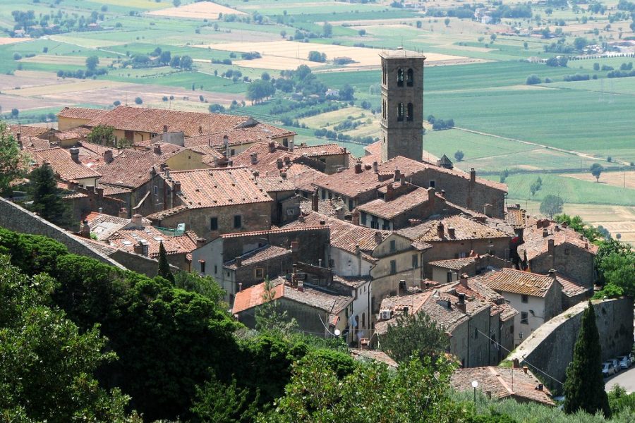 Florence to Siena and Cortona Private Driving Tour